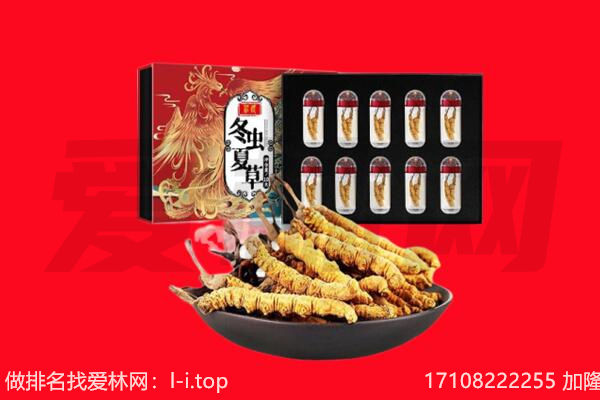 临夏州东乡回收虫草.jpg